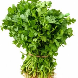 coriander-leaves