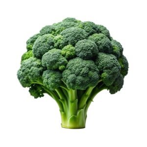 Ooty Broccoli (ஊட்டி ப்ரோக்கோலி)
