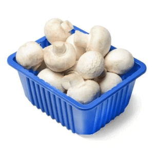 Mushroom (ஊட்டி காளான்)