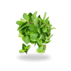 Mint Leaves (புதினா)