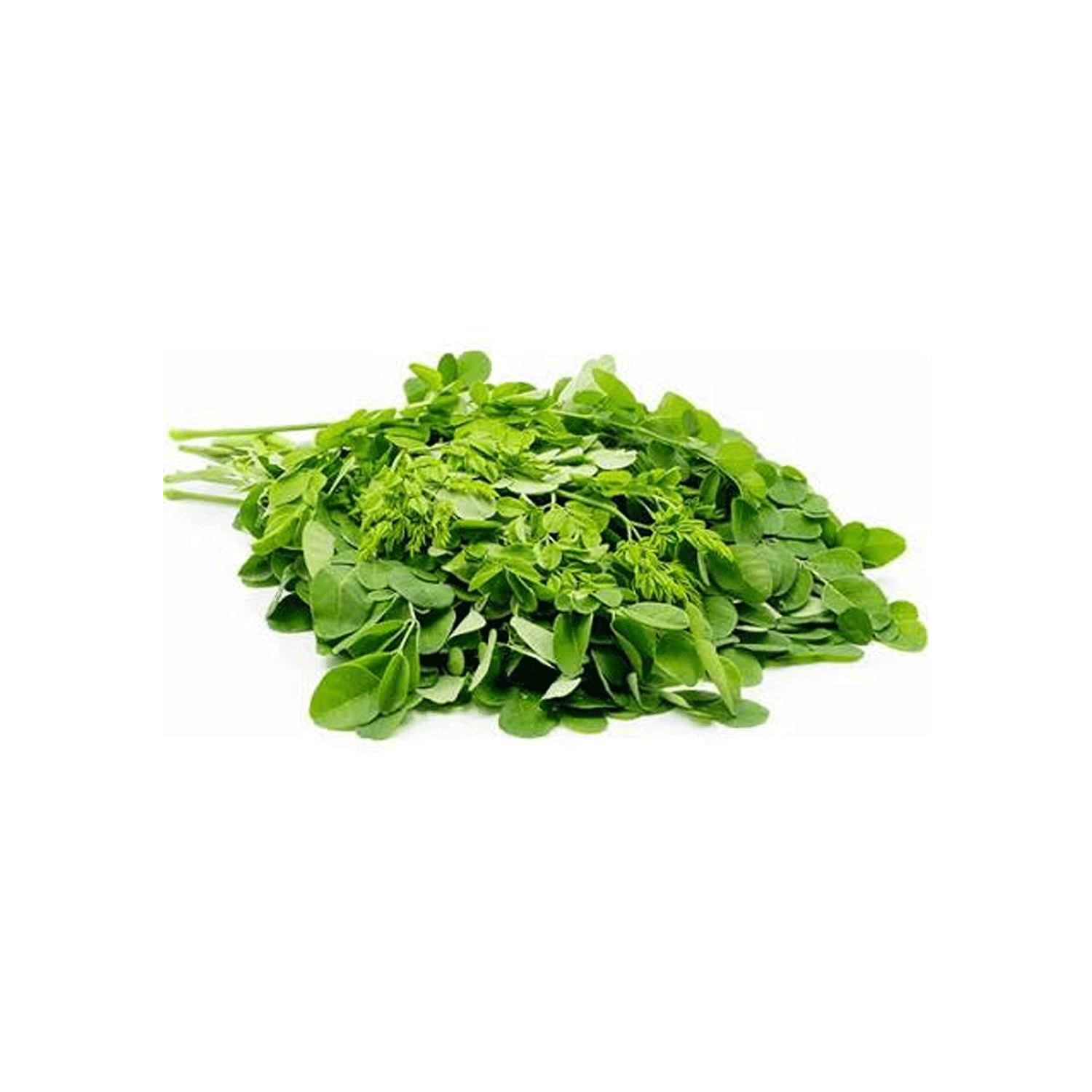 Drumstick Leaves (முருங்கைக்கீரை) - 1pcs