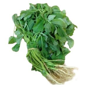 Amaranthus Stem Greens (தண்டுக்கீரை) - 1pcs