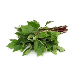 pulicha-keerai-1pcs