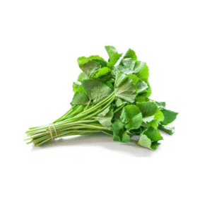 gotu-kola-1pcs