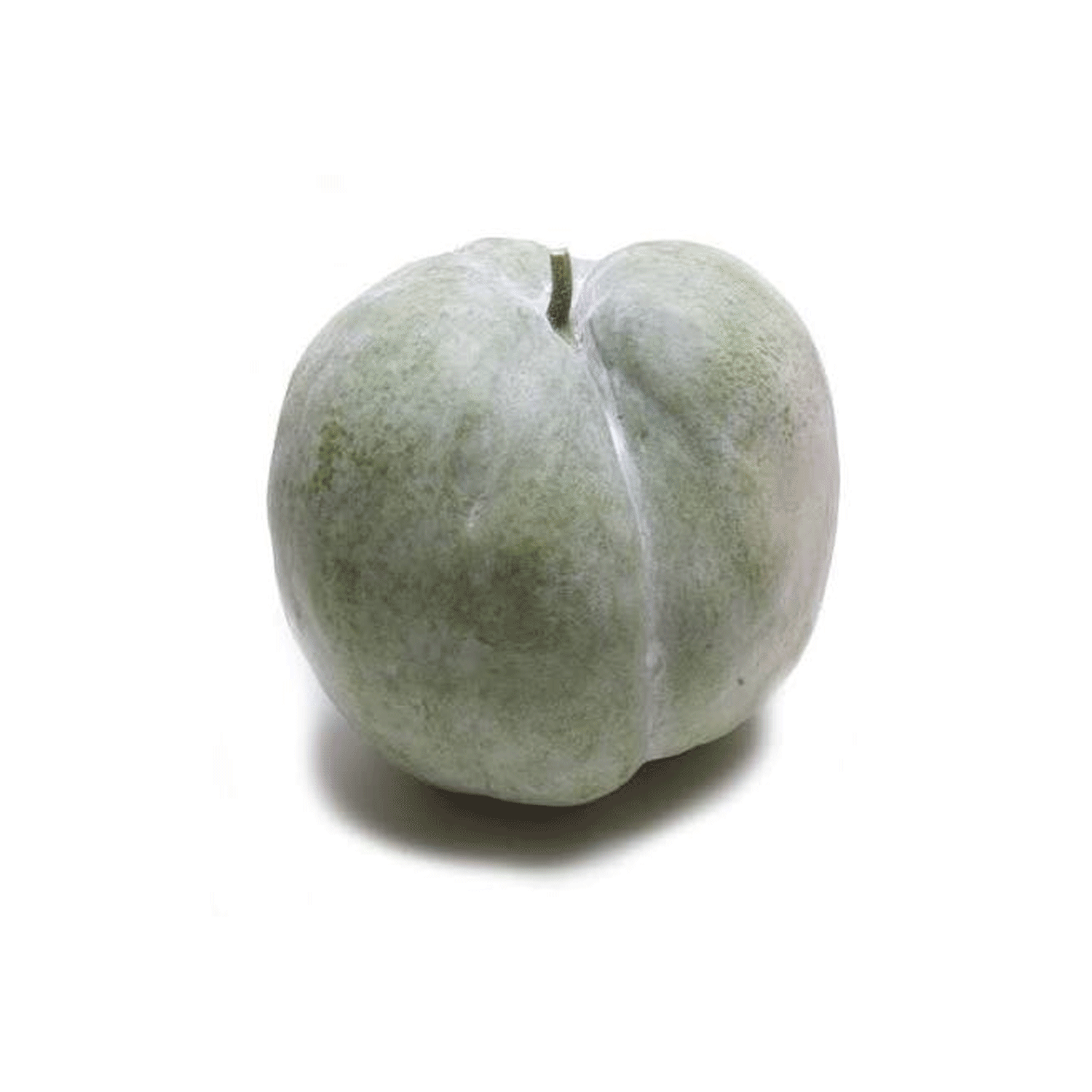 Winter Melon (வெண் பூசணி)