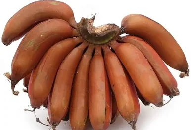 செவ்வாழை (Red Banana)