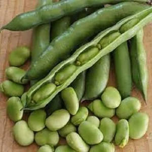 ooty-double-beansbutter-%e0%ae%8a%e0%ae%9f%e0%af%8d%e0%ae%9f%e0%ae%bf-%e0%ae%aa%e0%ae%9f%e0%af%8d%e0%ae%9f%e0%ae%be%e0%af%8d-%e0%ae%85%e0%ae%b5%e0%ae%b0%e0%af%88